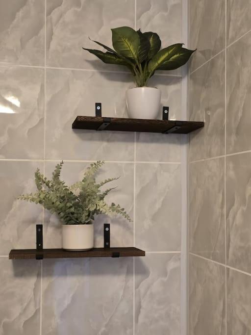 Cosy Home City Centre With Free Parking Nottingham Eksteriør bilde